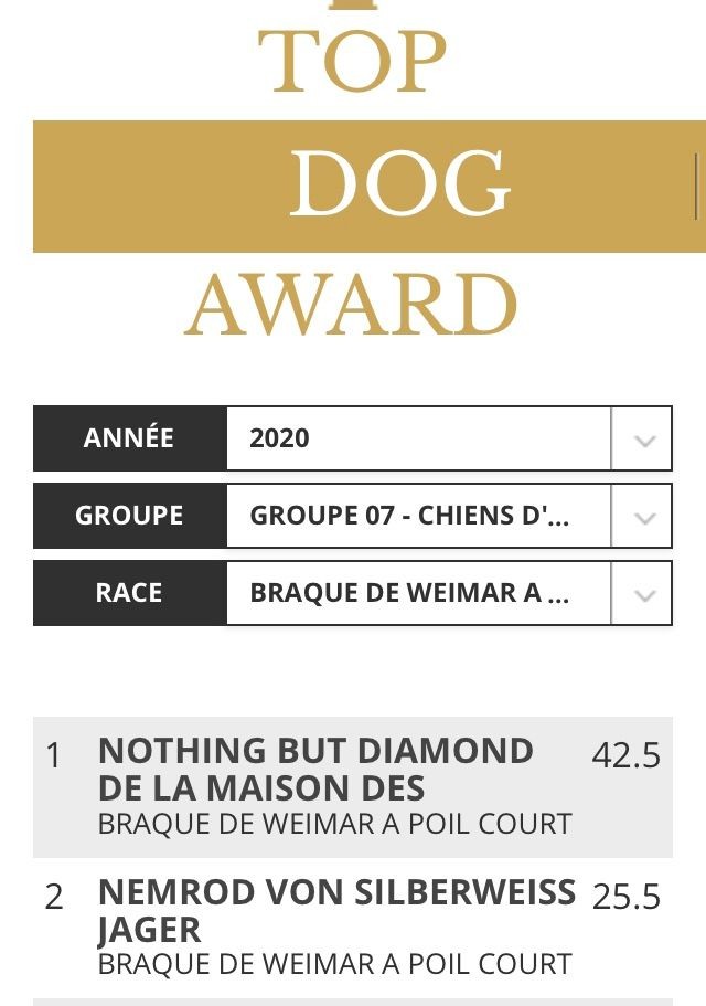 Of Mogi's House - TOP DOG AWARDS 2020